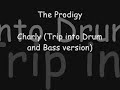 The Prodigy - Charly (Trip into Drum and Bass version)