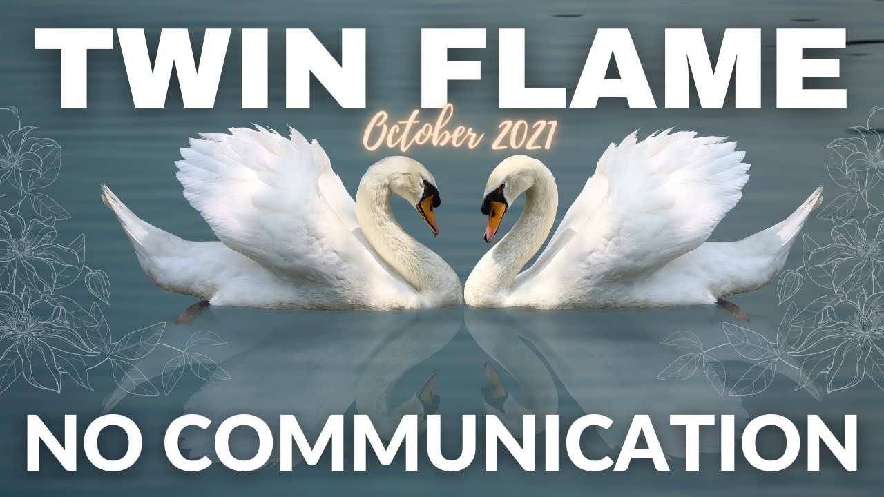 🦢+🦢 CHANNELED LOVE MESSAGES FOR TWIN FLAMES IN SEPARATION, CHANNELED ...