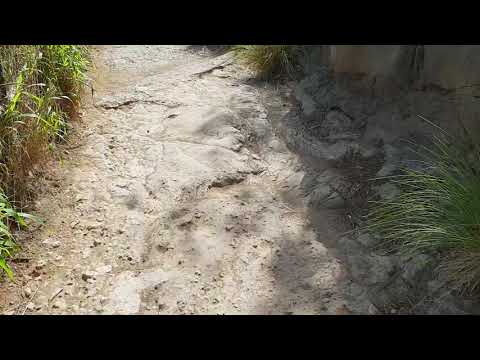 Hiking Diamond Head Crater Hawaii