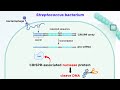 Crisprcas9 genome editing technology