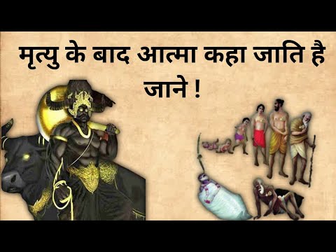 वीडियो: शवों को जलाने के लिए किसका प्रयोग किया जाता है?