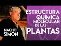 Composición de las Plantas- Estructura Quimica- Nacho Simón