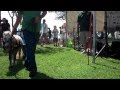 Humane Society Pet Walk Hawaii Humane Society Pet Walk Hawaii
