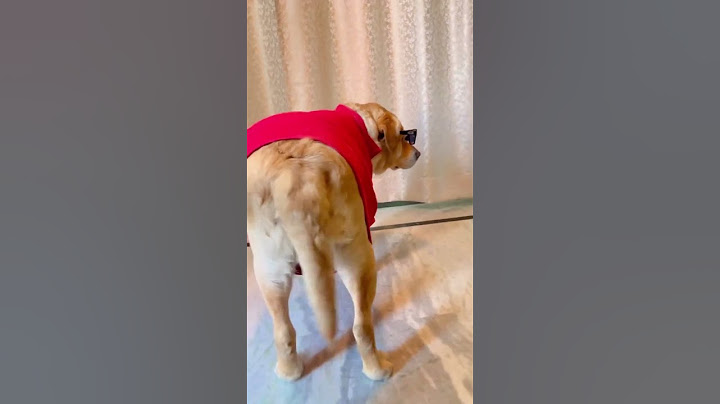 patli kamariya meri🤣 #shorts | anant rastogi