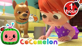 Bingo, mi perrito | Canciones Infantiles | Caricaturas para bebes | CoComelon en Español