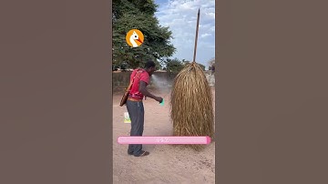 Phong tục múa chổi kỳ lạ của thổ dân Châu Phi !! #shorts