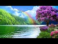 Beautiful natural rainbows1080p