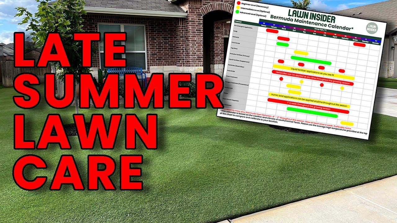 Late Summer Lawn Care | I've Got Some Decisions to Make - YouTube