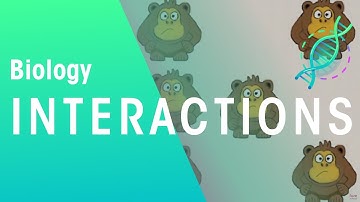 Ecology: Interspecific and Intraspecific Interactions | Ecology & Environment | Biology | FuseSchool