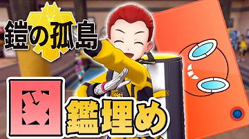 だいだらポケモン鎧の孤島図鑑埋め