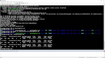19. How to Monitor Graylog and Elasticsearch