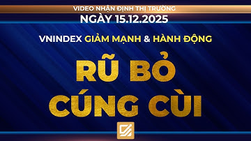 Chứng khoán ngày 15/12/2025: Vnindex giảm mạnh và hành động - Rũ bỏ cúng cùi