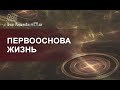 Первооснова Жизнь.