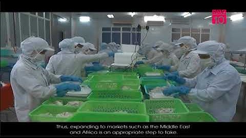 Xuất khẩu thủy sản sang Trung Đông, châu Phi khởi sắc