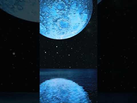 نور على مر زمان تألقا 