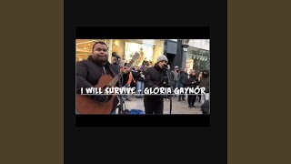 I Will Survive (Gloria Gaynor)