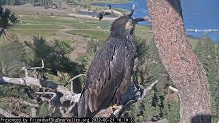 6-21-2022 Eagle Eyes