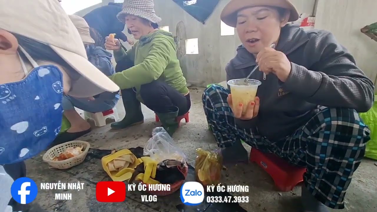 #Kỳ ốc hương vlog#[ CAM RANH , NHỮNG CHÚ ỐC HƯƠNG SỐNG SÓT SAU TRẬN MƯA BÃO , NAY ĐÃ XUẤT BÁN !@