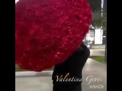 شو هل الجمال المش معقول