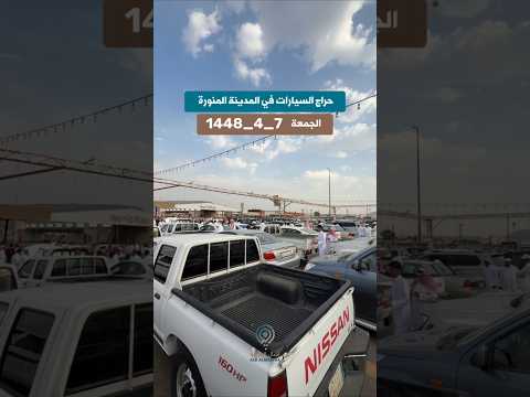 المدينة المنورة اليوم: تغطية حراج السيارات وحكايات الجمعة