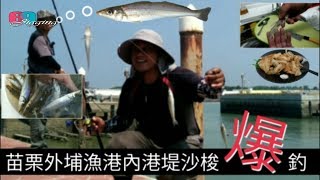 [磯釣沉底] 苗栗外埔漁港港內沙梭爆釣...201710台灣69J釣魚 ... 