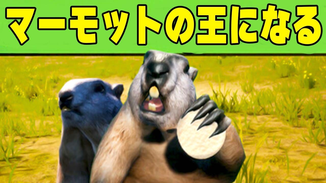 SNSで話題の最強マーモットを目指すゲームがヤバい【Marmot Fight Club】