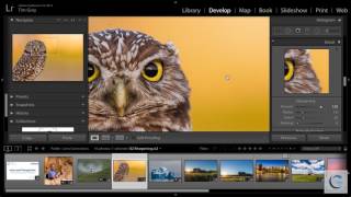 Tim Grey's Webinar: Lens and Perspective Corrections for Photos