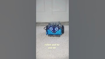 Meet My Assistant #robot