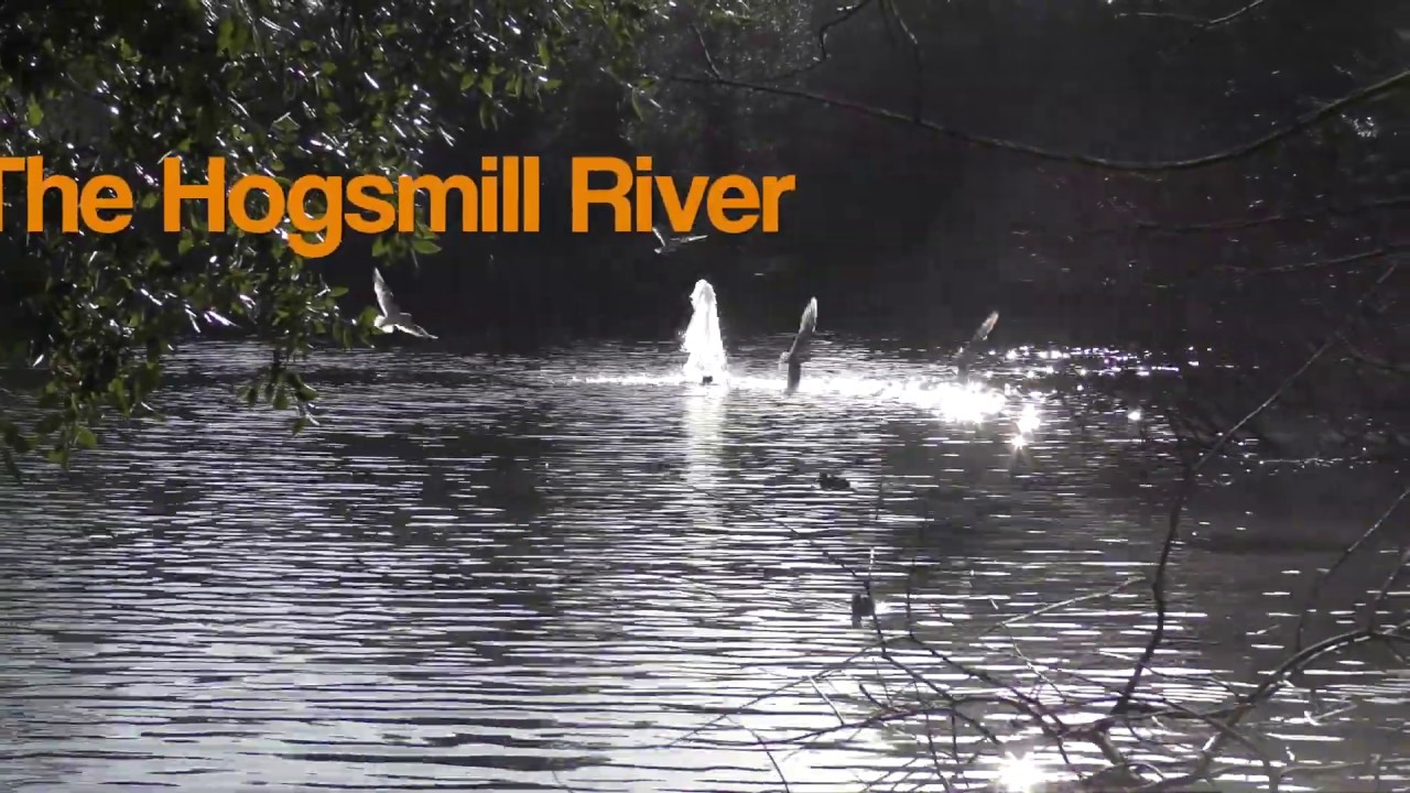 The Hogsmill River Surrey 4K YouTube the-hogsmill-river-surrey-4k-youtube
