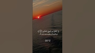 #ارح_قلبك #المصحف #ارح_سمعك #لايك #اكسبلور #تلاوة_خاشعة #قرآن