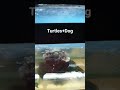 🐢+🐕