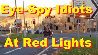 Gypsy Horse and Cart Running a Red Light