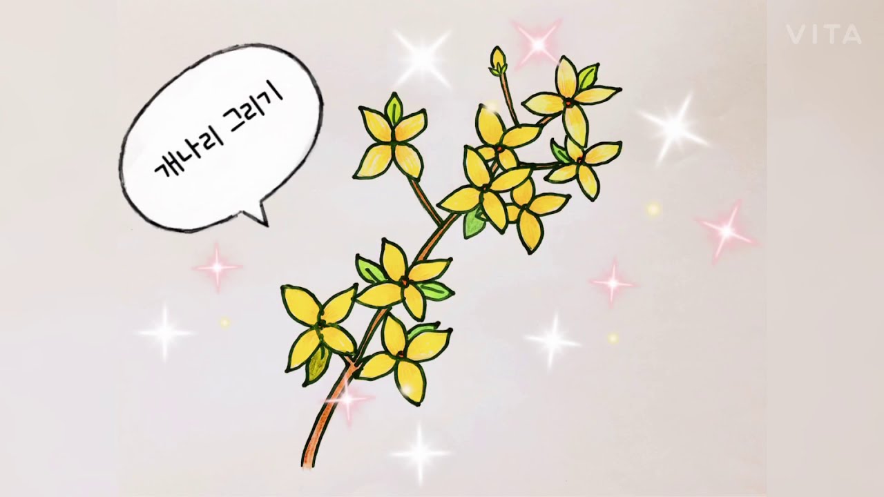 봄에 피는 개나리꽃 그리기 초등미술 - Youtube