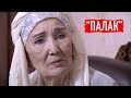 "Оталар сўзи": "Палак" || "Otalar so'zi": "Palak"