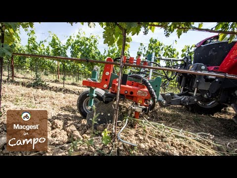 Video: Casa Nei Vigneti