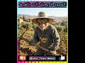 Qardouch Look My Friend Envious People Don T Want You To Have What You Have 