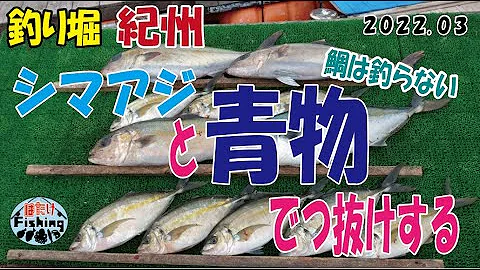 釣り堀