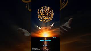 Âmin Ya Erhamerrahimin Âmin