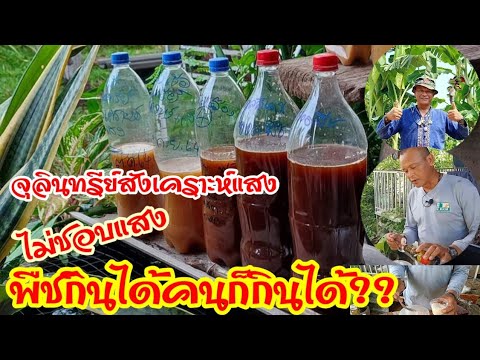 ผลสลากกินแบ่งรัฐบาล วันที่ 1 พย. 2567 ผลสลากกินแบ่งรัฐบาล วันที่ 1 พย. 2567