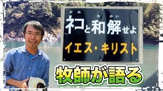 ネコと和解せよ Youtube ネコと和解せよ Youtube