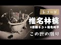 椎名林檎×斎藤ネコ+椎名純平「この世の限り」2007 レコード VINYL