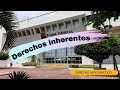 Derechos inherentes 👥🫂👥 Explicado en menos de 5 minutos ⚖🦉⚖ Derecho Mex Práctico