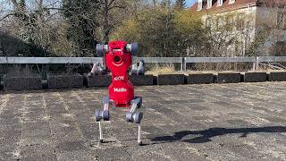 From Quadrupedal to Bipedal Locomotion: Reinforcement Learning Advancement for Robot Dynamics