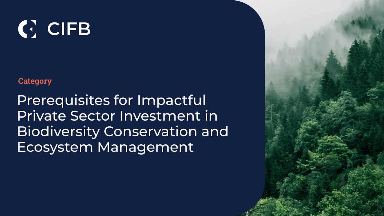 Prerequisites for Impactful Private Sector Investment in Biodiversity ...