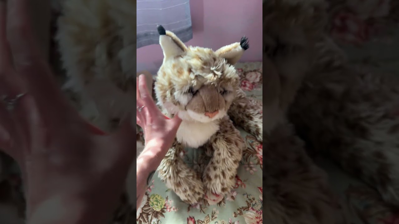 Unboxing ~ WWF Lynx & Hamleys Cheetah Plushies 🐆