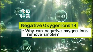 Do you know the principle of negative oxygen ion smoke removal?