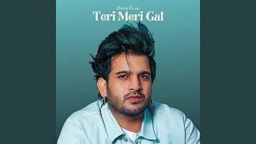 Teri Meri Gal