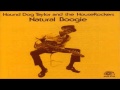 Hound Dog Taylor - Goodnight Boogie