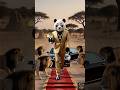 The panda boss!! #ytshorts #animalverse #funny #shorts