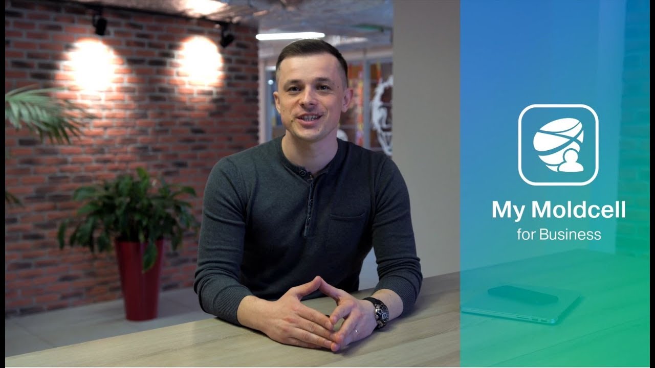 Plata Amenda Rovinieta Online PlÄƒÈ›i Online